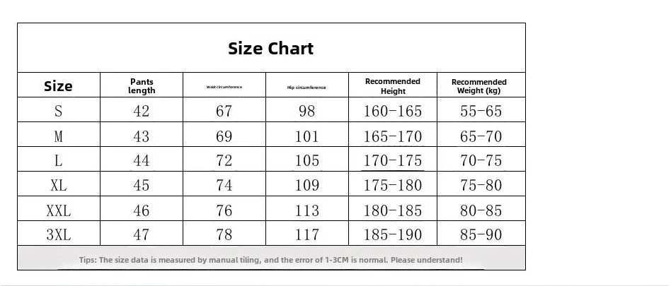Paisley shorts men's mesh quick drying fitness outdoor training pants
