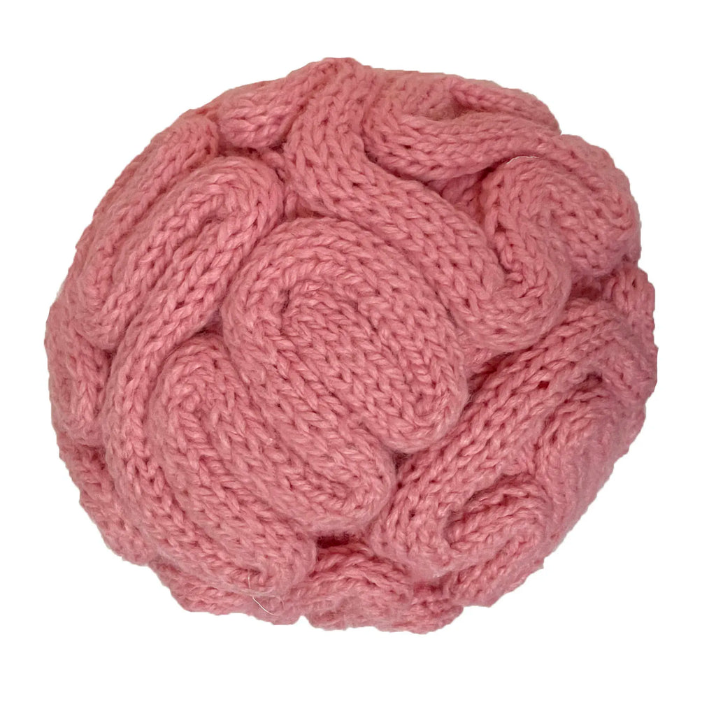 Funny Winter Horrible Brain Wool Handmade Unisex Beanie Caps